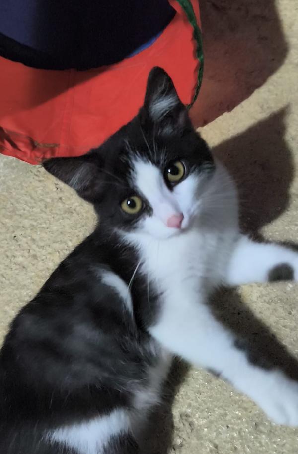  Mercoledì dal nasino rosa Foto 9